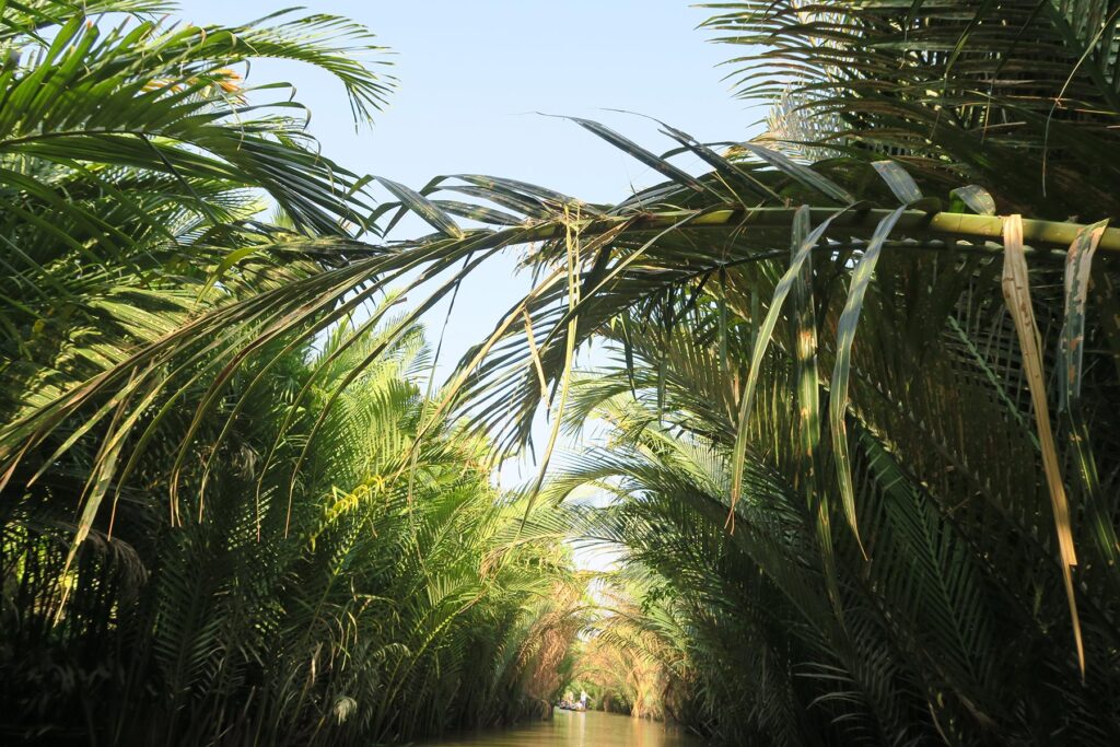 Taking biophilic design inspiration from this nature view of a vietnamese river with tropical foliage providing a natural canopy