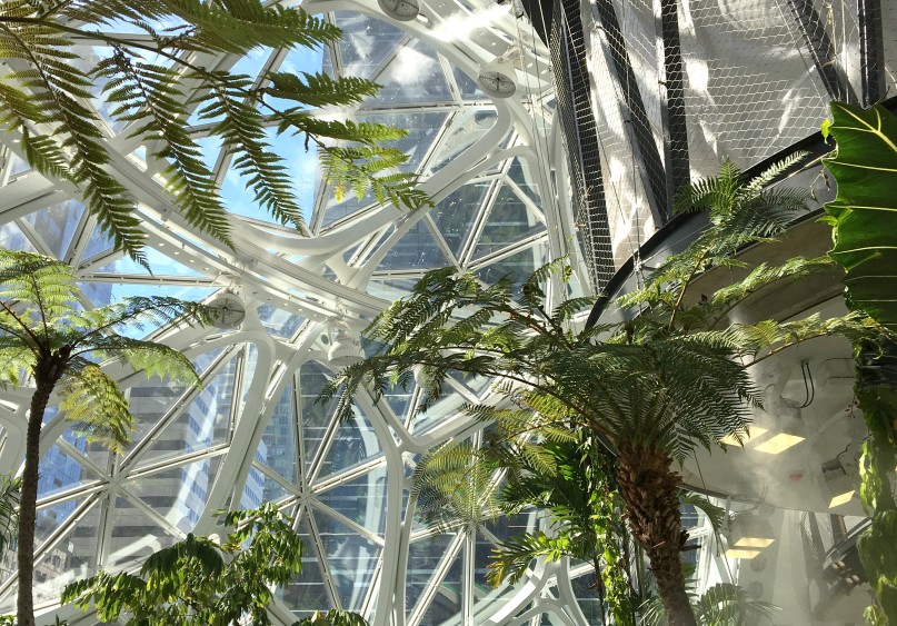 Inside the Amazon Spheres showing trees and natural light in employee wellbeing design