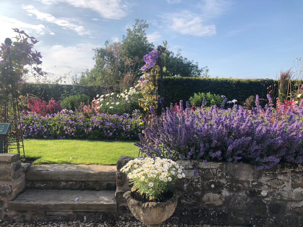 Stone steps leading up to a raised Herbaceous garden