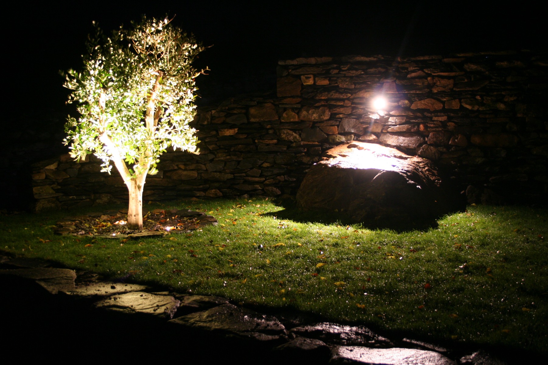 Garden Sanctuary Charlotte Findlater Biophilic Designer