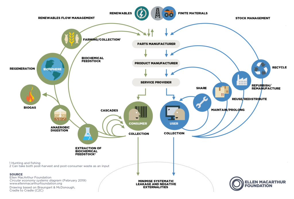 Ellen Macarthur Foundation circular economy butterfly infographic